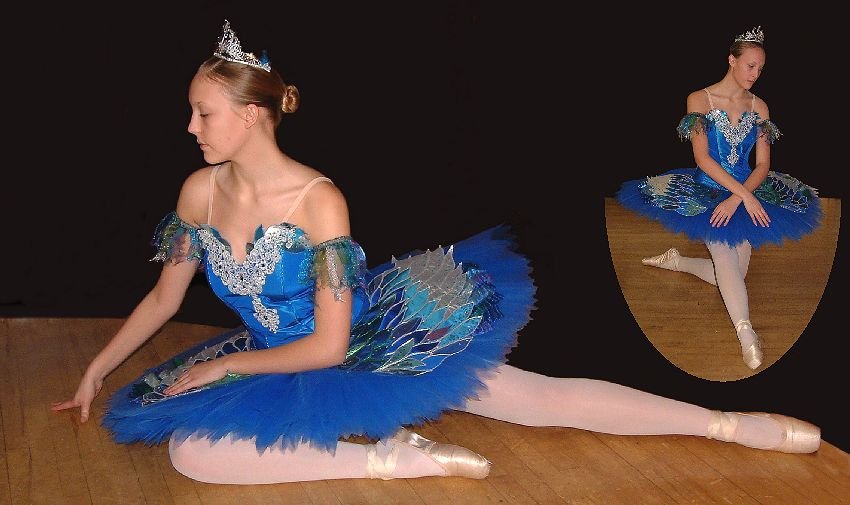 Elaborately decorated bluebird tutu with appliqud wings in tones of blue and silver