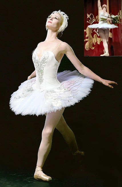 white swan tutu with silver and iridescent edged embellished wings