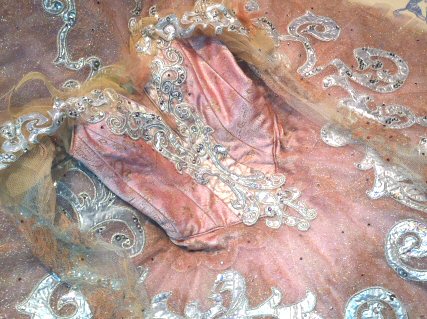 silver embellished classical ballet tutu on pink ground
