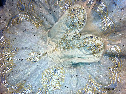 gold embellished classical ballet tutu on white ground