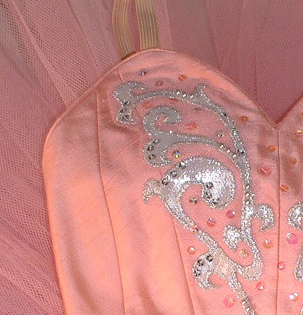 Detail of silver decoration on pink tutu