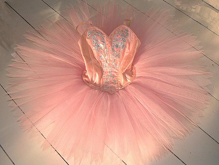 pink tutu with silver bodice decoration