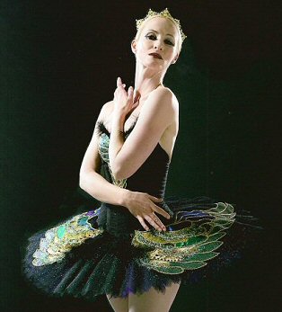 Odile Tutu from Swan Lake in black and with gold greens and purple